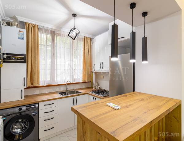 3-senyakanoc-bnakaran-vardzakalutyun-Yerevan-Arabkir