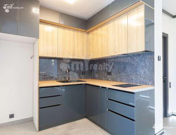 2-senyakanoc-bnakaran-vardzakalutyun-Yerevan-Arabkir