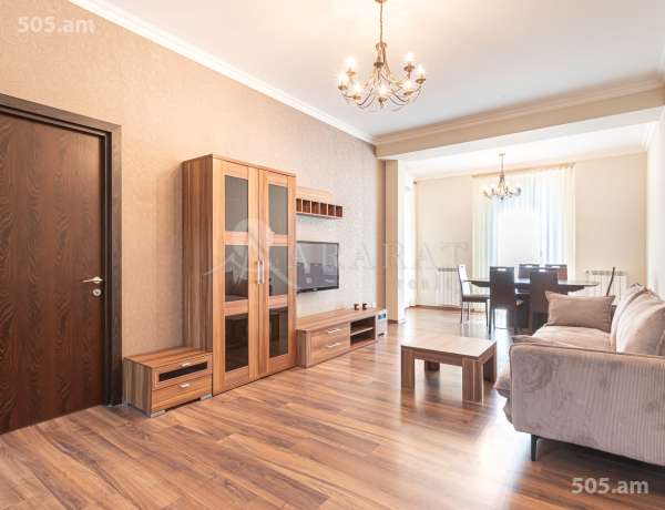 3-senyakanoc-bnakaran-vardzakalutyun-Yerevan-Center