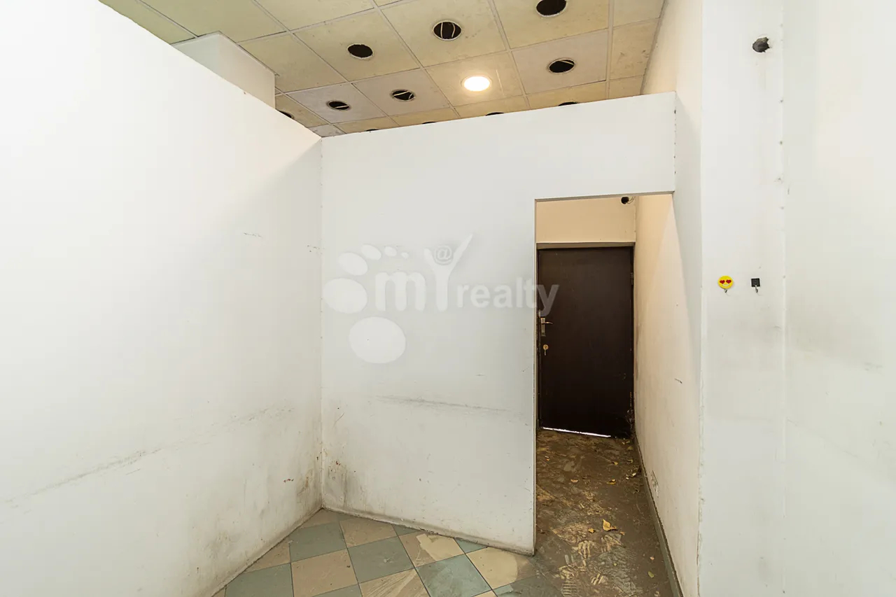 Commercial property for sale M.Khorenatsi St, Center Yerevan, 160418