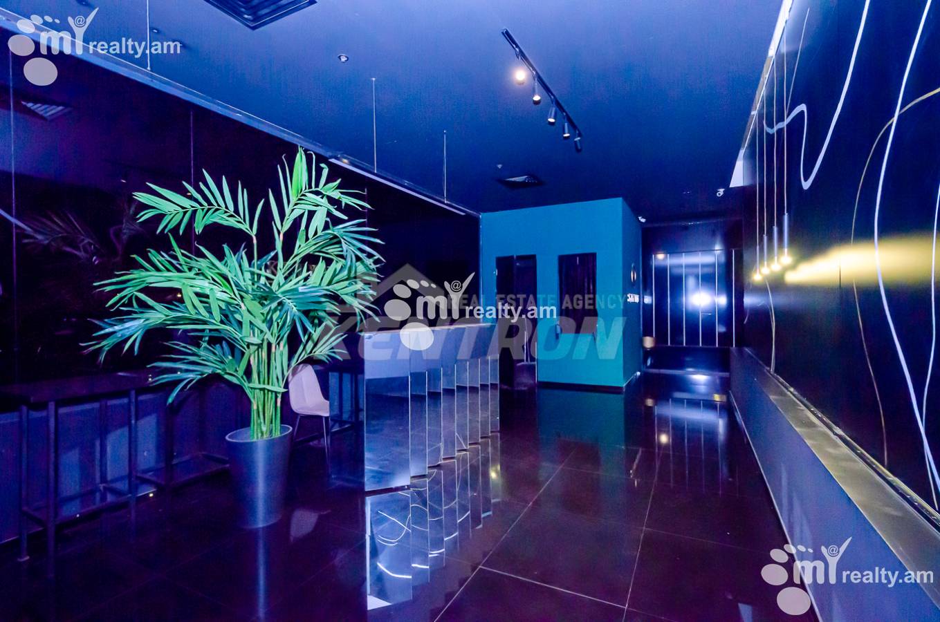 Commercial property for rent G.Lusavorich St, Center Yerevan, 153215