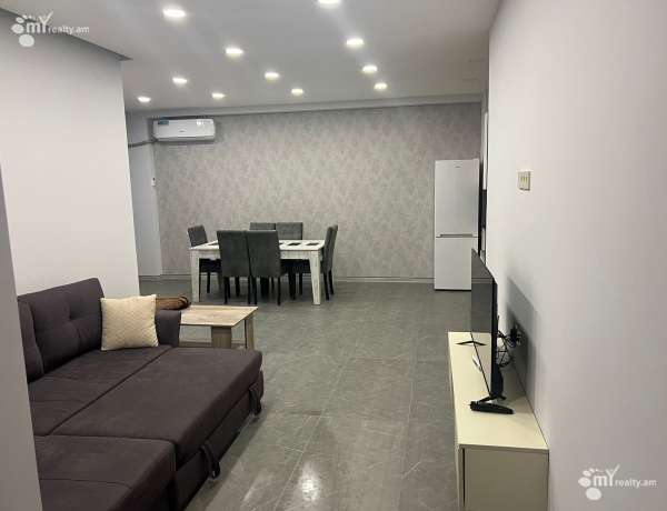 2-senyakanoc-bnakaran-vardzakalutyun-Yerevan-Center