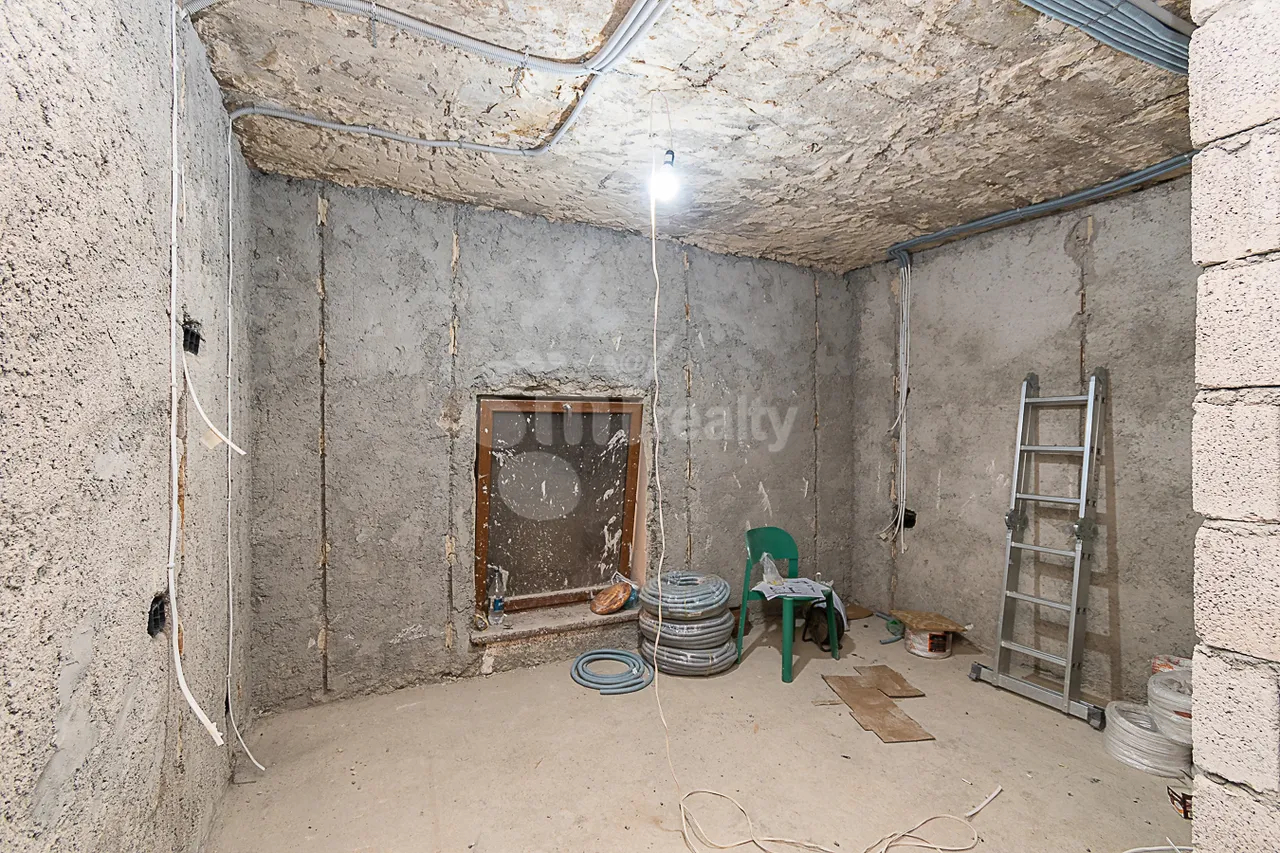 Commercial property for rent Proshyan St, Center Yerevan, 161537