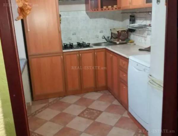 3-senyakanoc-bnakaran-vardzakalutyun-Yerevan-Center