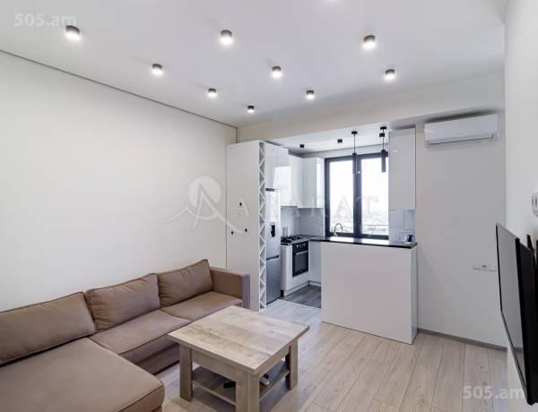 3-senyakanoc-bnakaran-vacharq-Yerevan-Arabkir