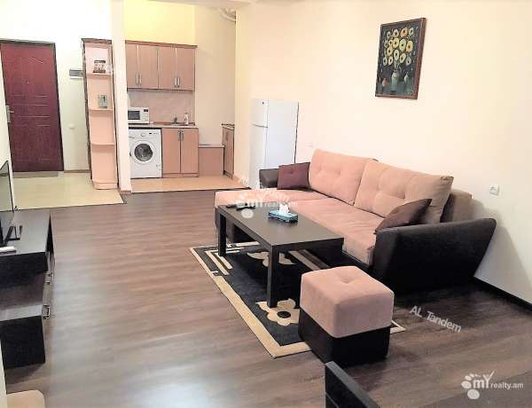 2-senyakanoc-bnakaran-vardzakalutyun-Yerevan-Center