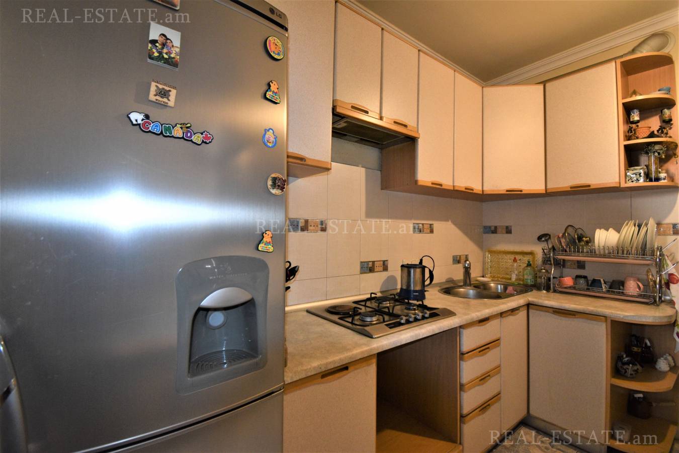 3 սենյականոց բնակարան  Սայաթ-Նովայի պող, Կենտրոն Երևան, 117966