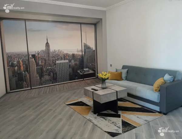 2-senyakanoc-bnakaran-vardzakalutyun-Yerevan-Center