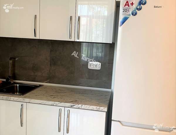 3-senyakanoc-bnakaran-vardzakalutyun-Yerevan-Arabkir