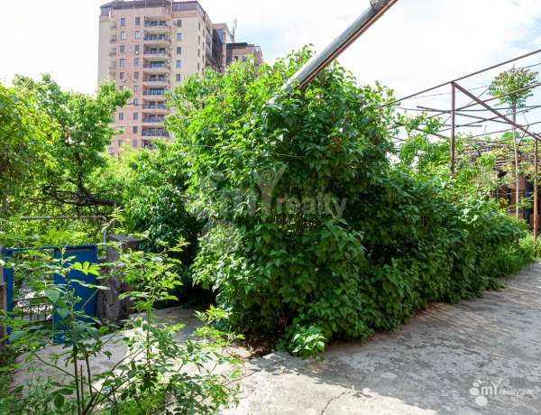 arandznatun-vacharq-Yerevan-Center