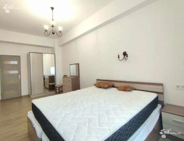 2-senyakanoc-bnakaran-vardzakalutyun-Yerevan-Achapnyak
