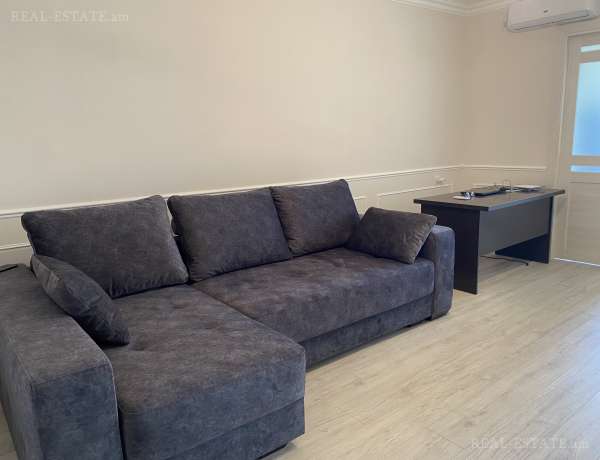 2-senyakanoc-bnakaran-vardzakalutyun-Yerevan-Arabkir