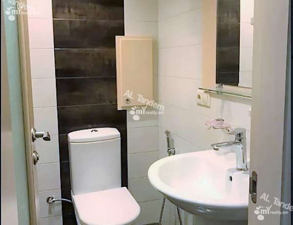 3-senyakanoc-bnakaran-vardzakalutyun-Yerevan-Arabkir
