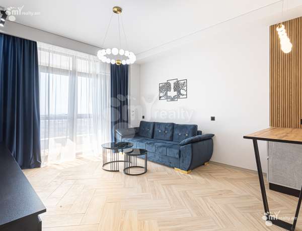 2-senyakanoc-bnakaran-vardzakalutyun-Yerevan-Center