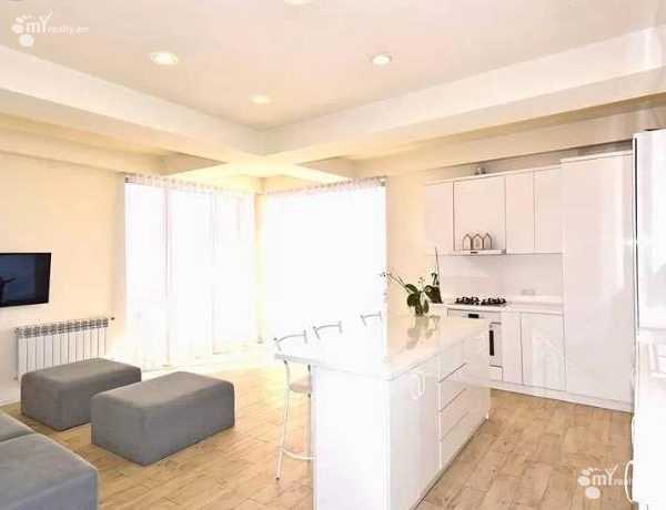 2-senyakanoc-bnakaran-vardzakalutyun-Yerevan-Arabkir