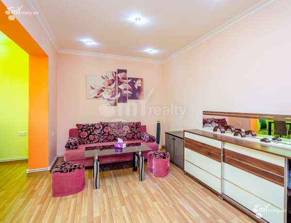 2-senyakanoc-bnakaran-vardzakalutyun-Yerevan-Arabkir