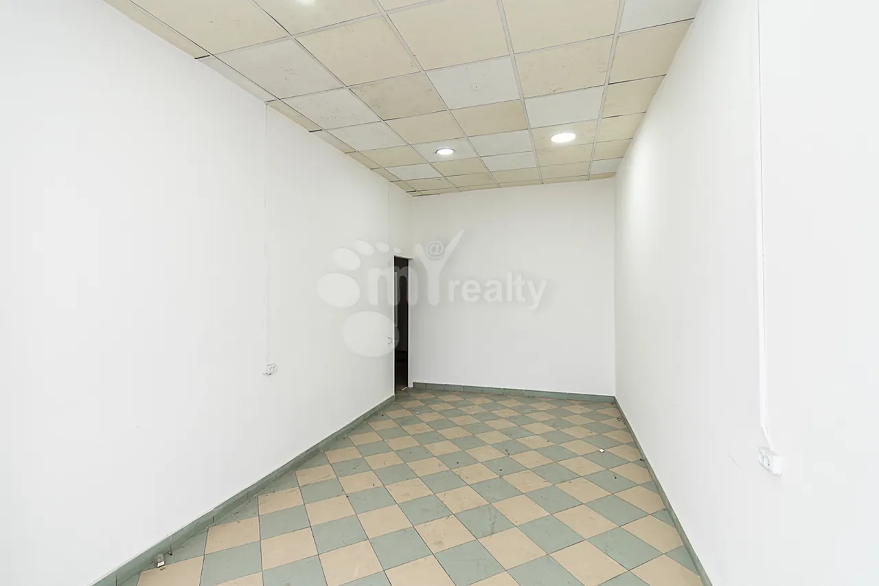 Commercial property for sale M.Khorenatsi St, Center Yerevan, 160418