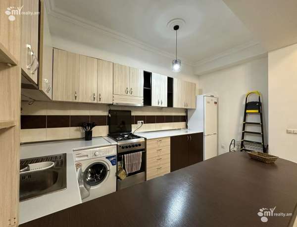 2-senyakanoc-bnakaran-vardzakalutyun-Yerevan-Arabkir