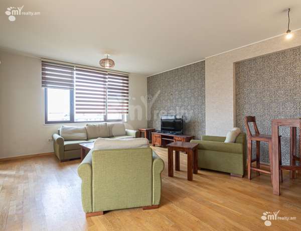 3-senyakanoc-bnakaran-vardzakalutyun-Yerevan-Center