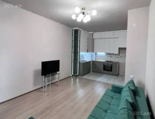 2-senyakanoc-bnakaran-vardzakalutyun-Yerevan-Arabkir