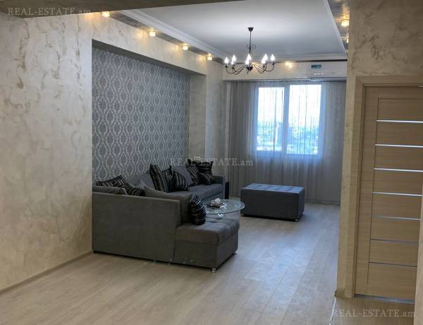 2-senyakanoc-bnakaran-vardzakalutyun-Yerevan-Arabkir