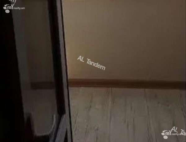 3-senyakanoc-bnakaran-vardzakalutyun-Yerevan-Arabkir