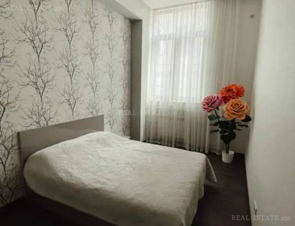 4-senyakanoc-bnakaran-vardzakalutyun-Yerevan-Center