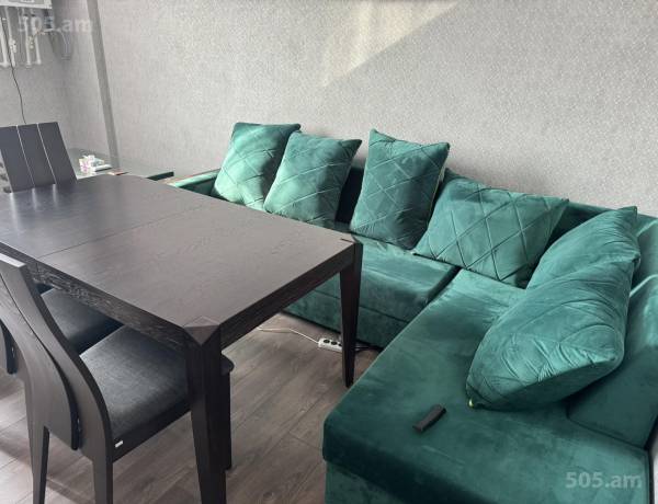 2-senyakanoc-bnakaran-vacharq-Yerevan-Shengavit