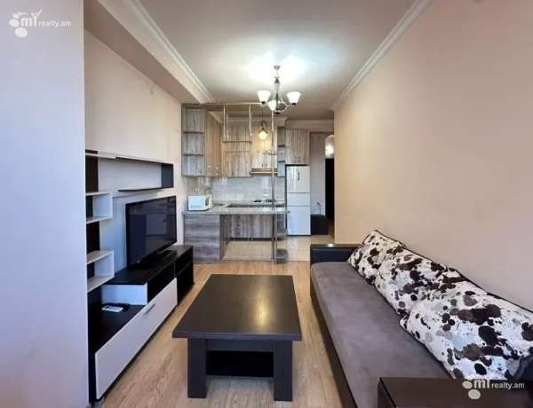 2-senyakanoc-bnakaran-vardzakalutyun-Yerevan-Arabkir