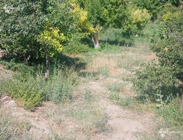 land-for-sale/Hacavan/Hacavan/Kotayk