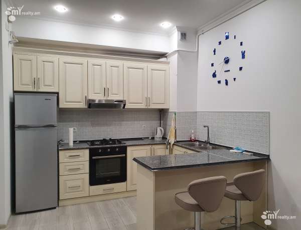 2-senyakanoc-bnakaran-vardzakalutyun-Yerevan-Arabkir