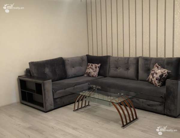 2-senyakanoc-bnakaran-vardzakalutyun-Yerevan-Center