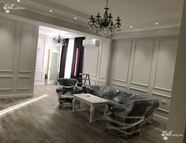 4-senyakanoc-bnakaran-vardzakalutyun-Yerevan-Center