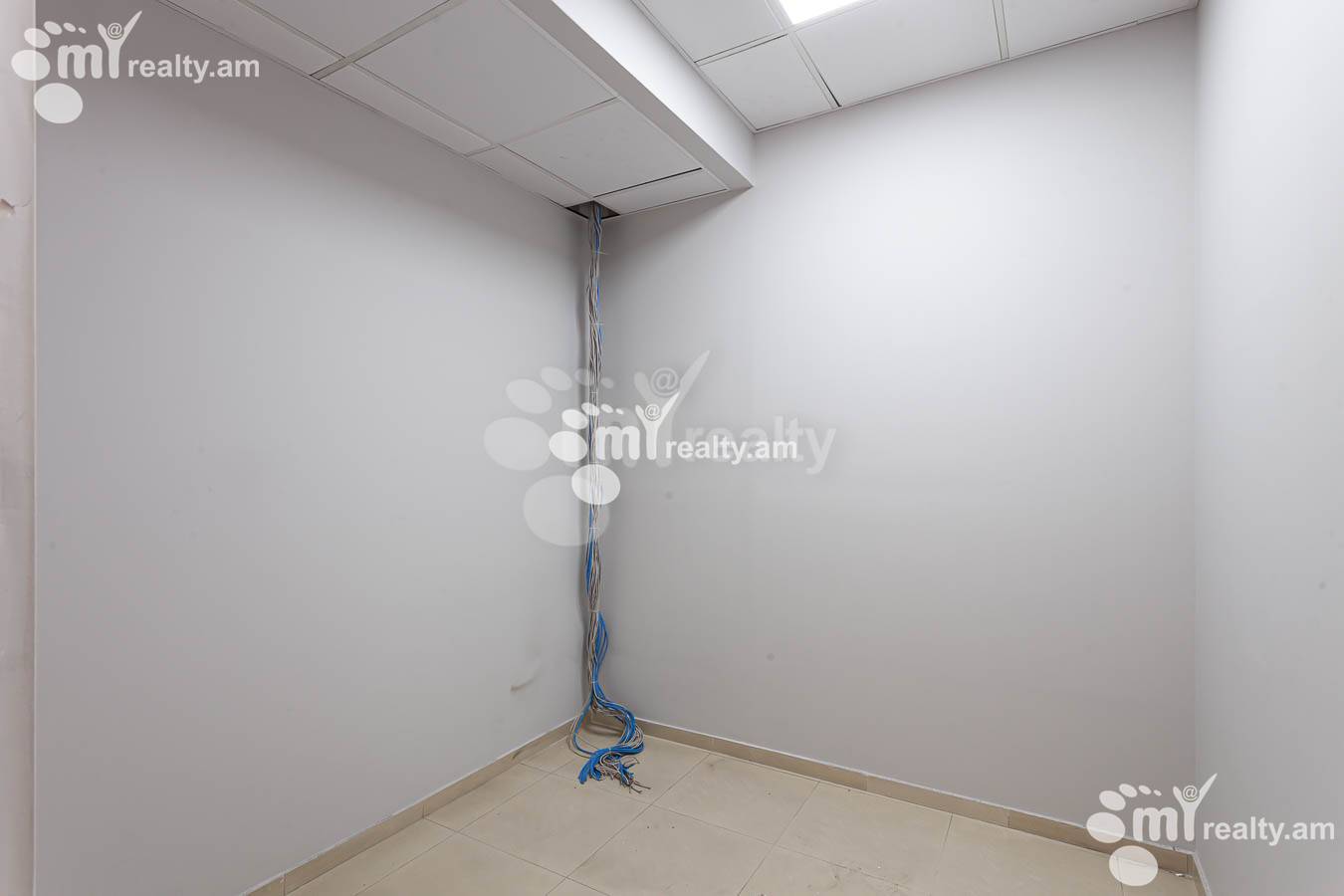 Commercial for rent خیابان تِریان, مرکز شهر ایروان, 153008