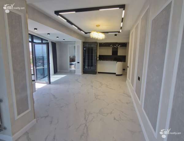 4-senyakanoc-bnakaran-vardzakalutyun-Yerevan-Achapnyak