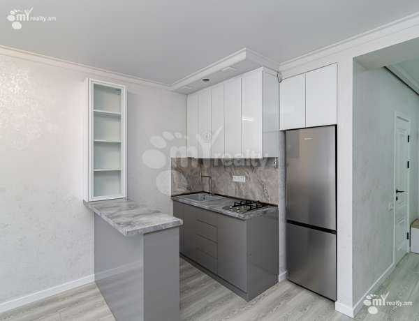 3-senyakanoc-bnakaran-vacharq-Yerevan-Arabkir