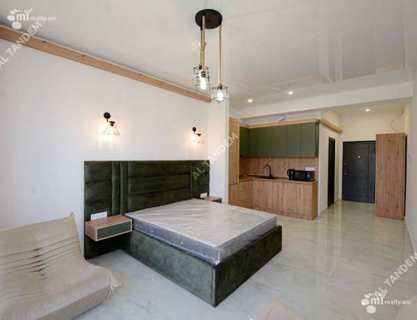 1-senyakanoc-bnakaran-vardzakalutyun-Yerevan-Center