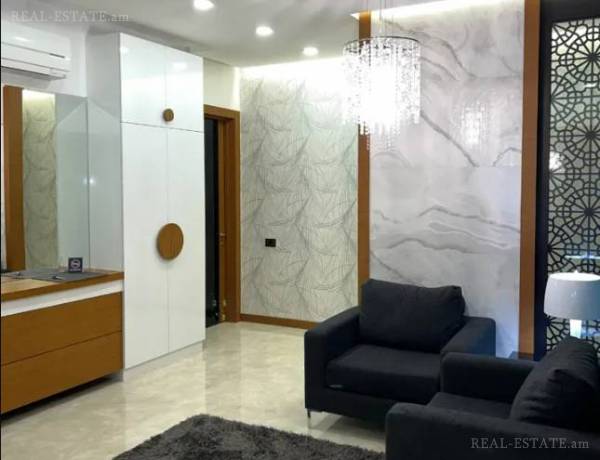 3-senyakanoc-bnakaran-vardzakalutyun-Yerevan-Center
