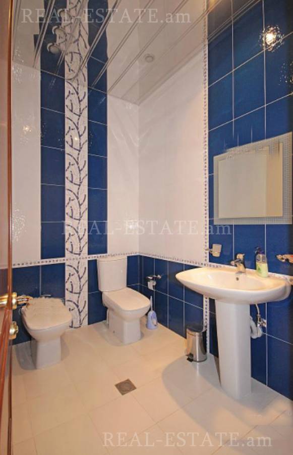 Առանձնատուն  Մայակ փ, Աբովյան Կոտայք, 121563