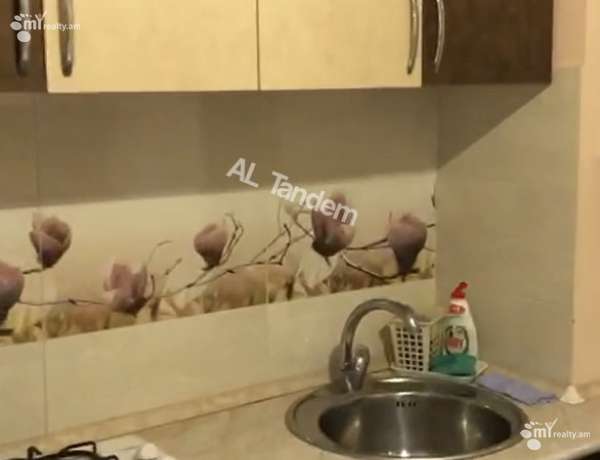 1-senyakanoc-bnakaran-vardzakalutyun-Yerevan-Arabkir