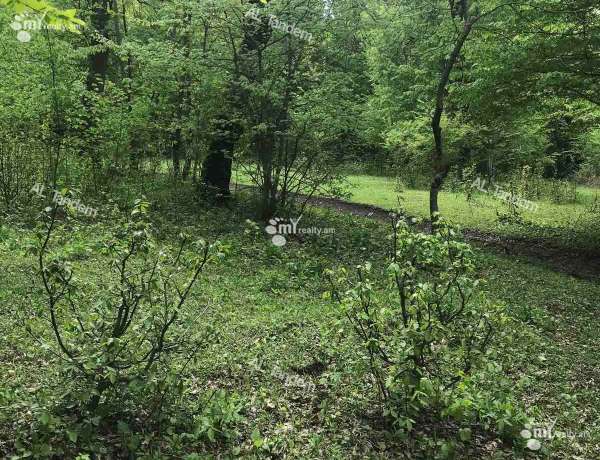 hoghataracq-vacharq-Tavush-Dilijan