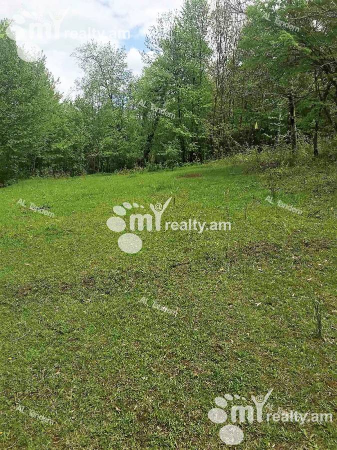 Купить замельный участок Дилижан, Дилиджан Тавуш, 122439