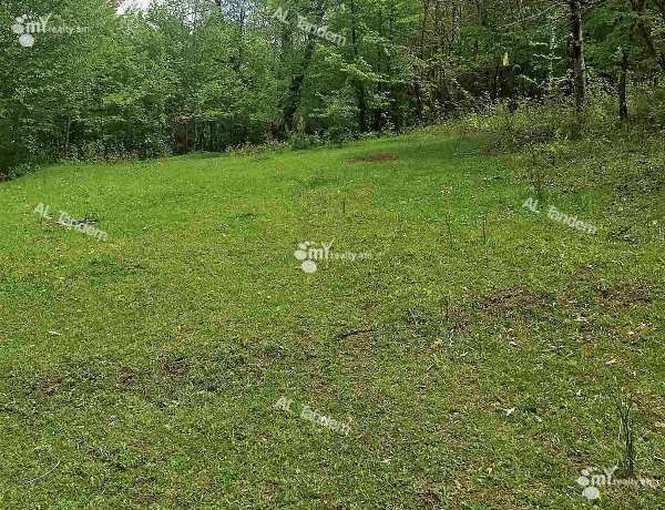 prodaja-zemelnogo-uchastka/Dilidjan/Dilijan/Tavush