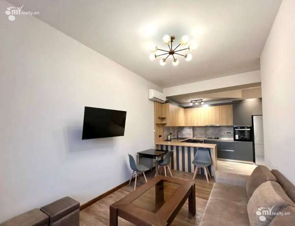 2-senyakanoc-bnakaran-vardzakalutyun-Yerevan-Center