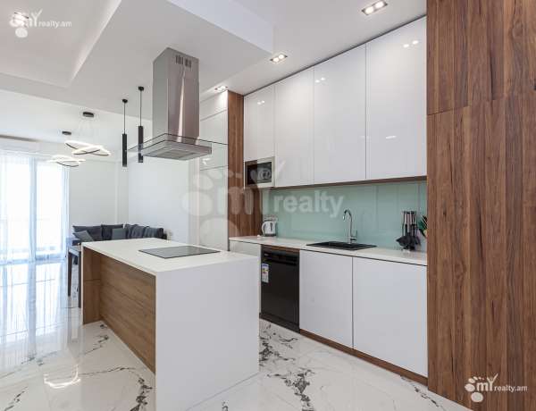 3-senyakanoc-bnakaran-vardzakalutyun-Yerevan-Center