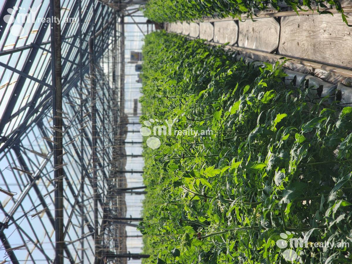 Land for sale Aramus, Aramus Kotayk, 158581