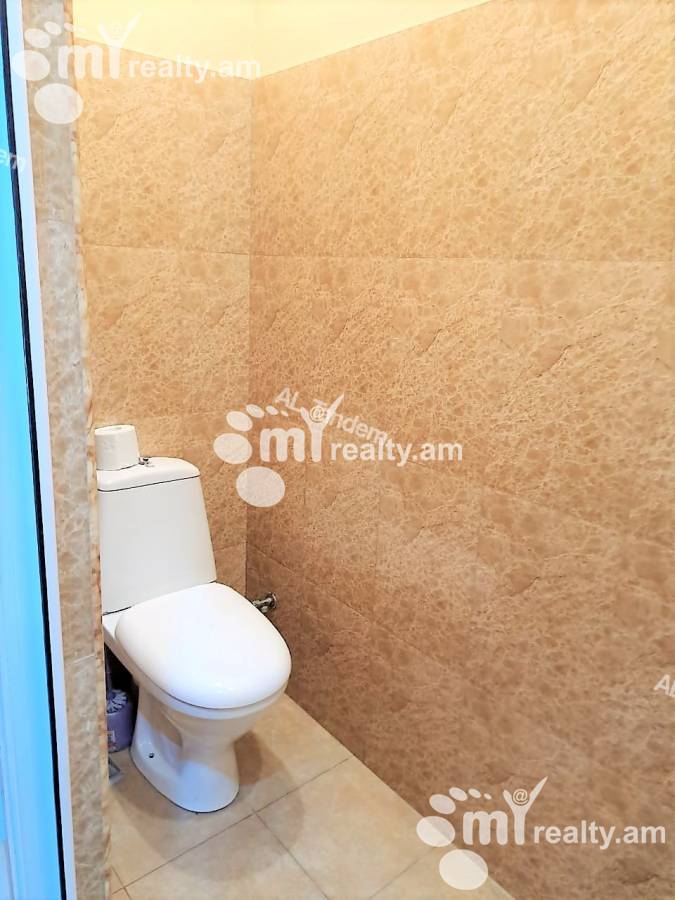 Կոմերցիոն տարածք  Տիգրան Մեծի պող, Կենտրոն Երևան, 134819