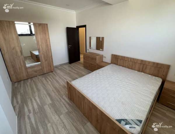 3-senyakanoc-bnakaran-vardzakalutyun-Yerevan-Center