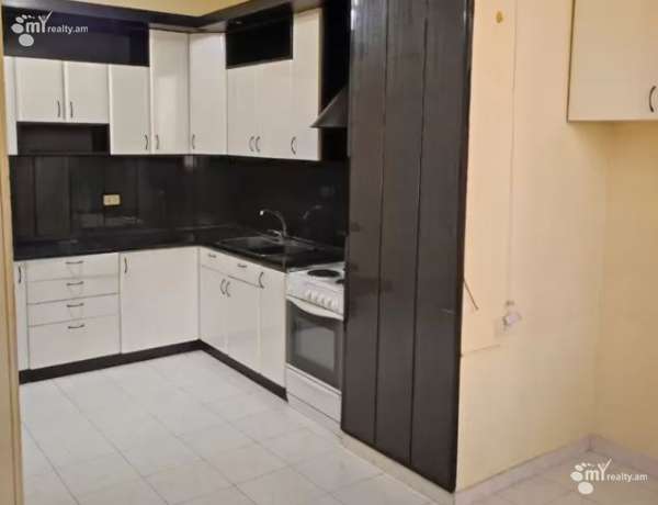 4-senyakanoc-bnakaran-vardzakalutyun-Yerevan-Center