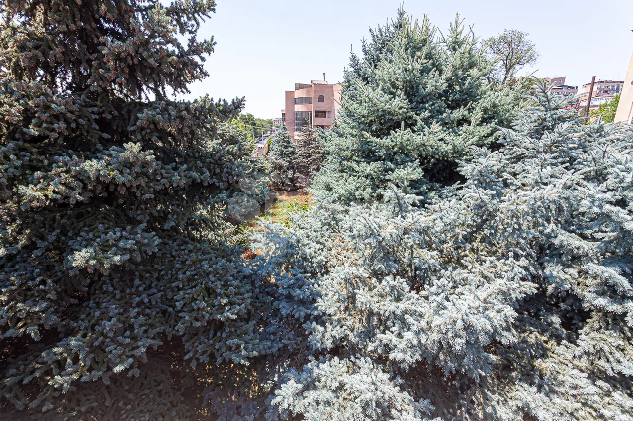 House for sale خیابان بابایان, عربگیر ایروان, 161362